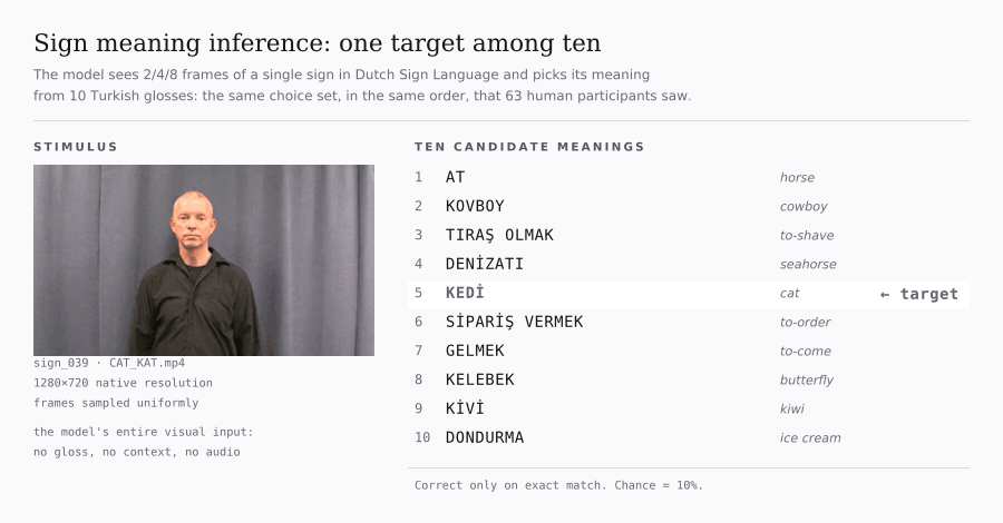 Animated task illustration for the 10-choice meaning-identification experiment
